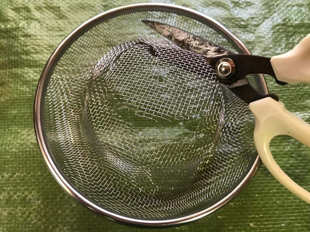 多肉植物リース　作り方