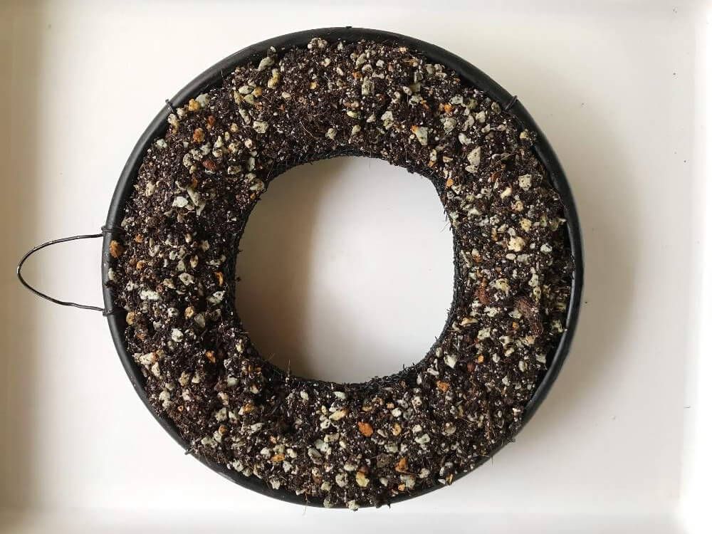 多肉植物リース　作り方