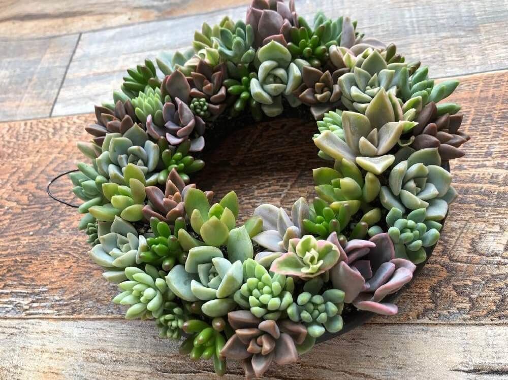 多肉植物リース　作り方