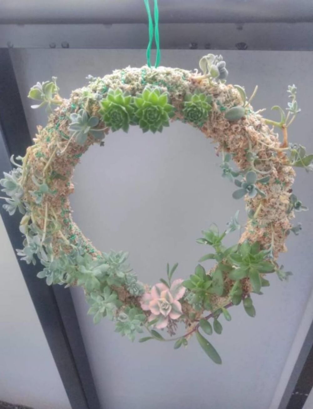 多肉植物リース