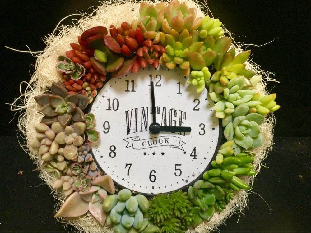 多肉植物リース