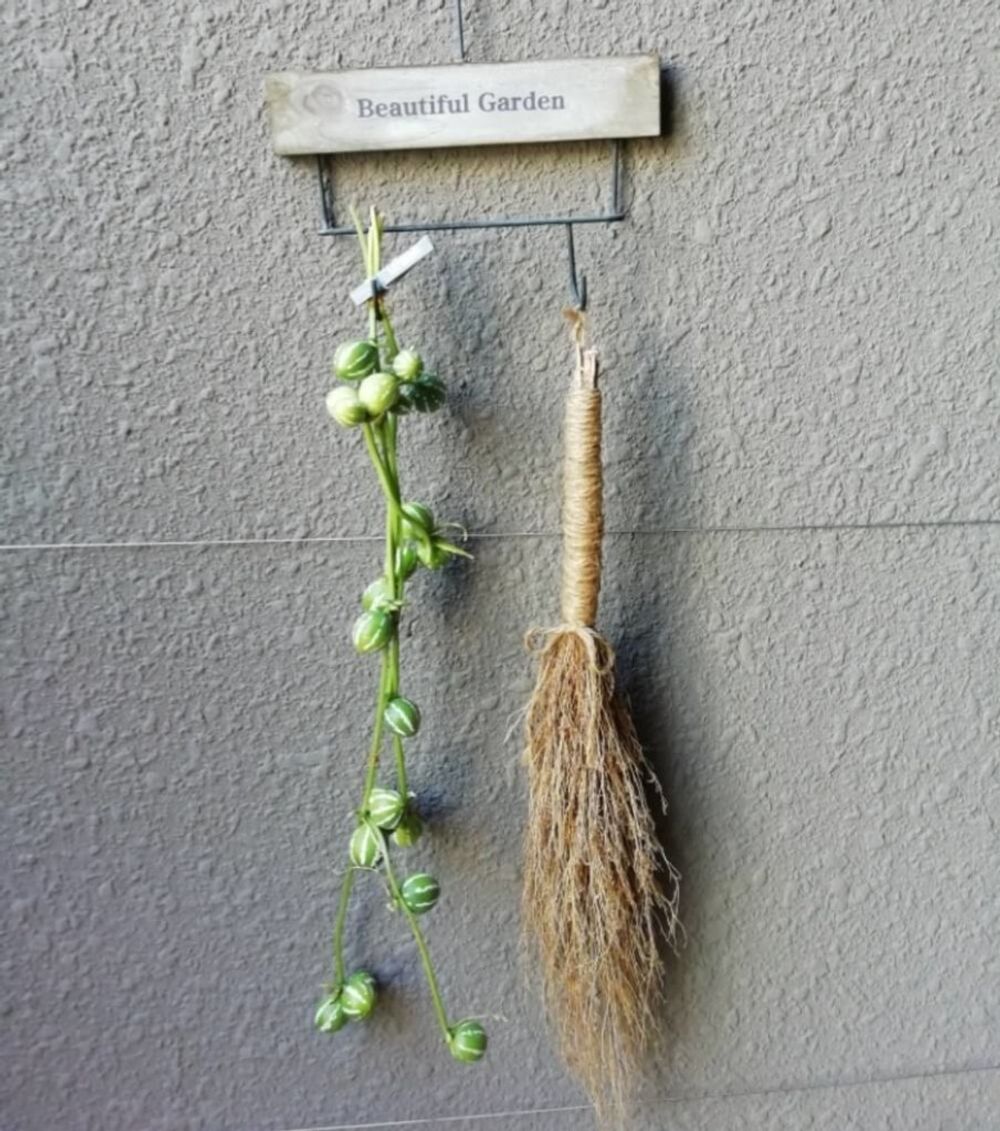 コキア　箒　作り方