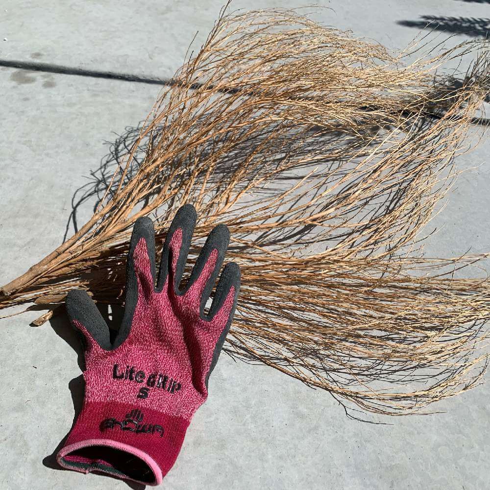 コキア　箒　作り方