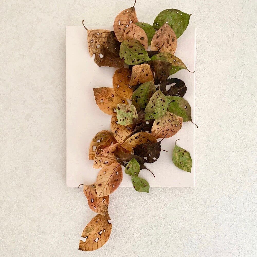 落ち葉　アート　紅葉