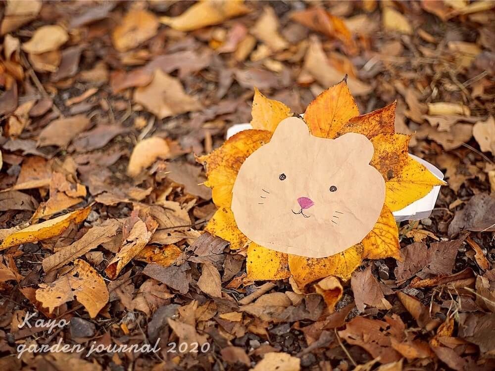 落ち葉　アート　紅葉