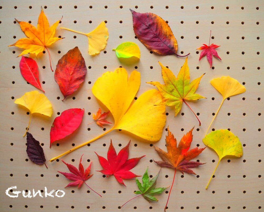 落ち葉アート
