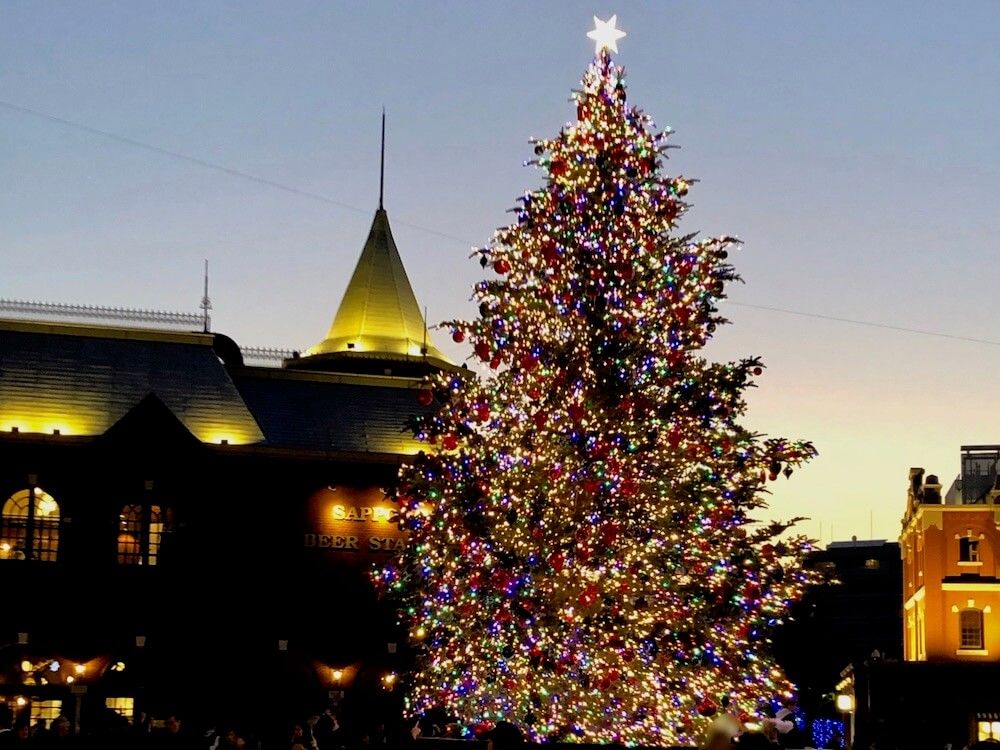 クリスマスツリー