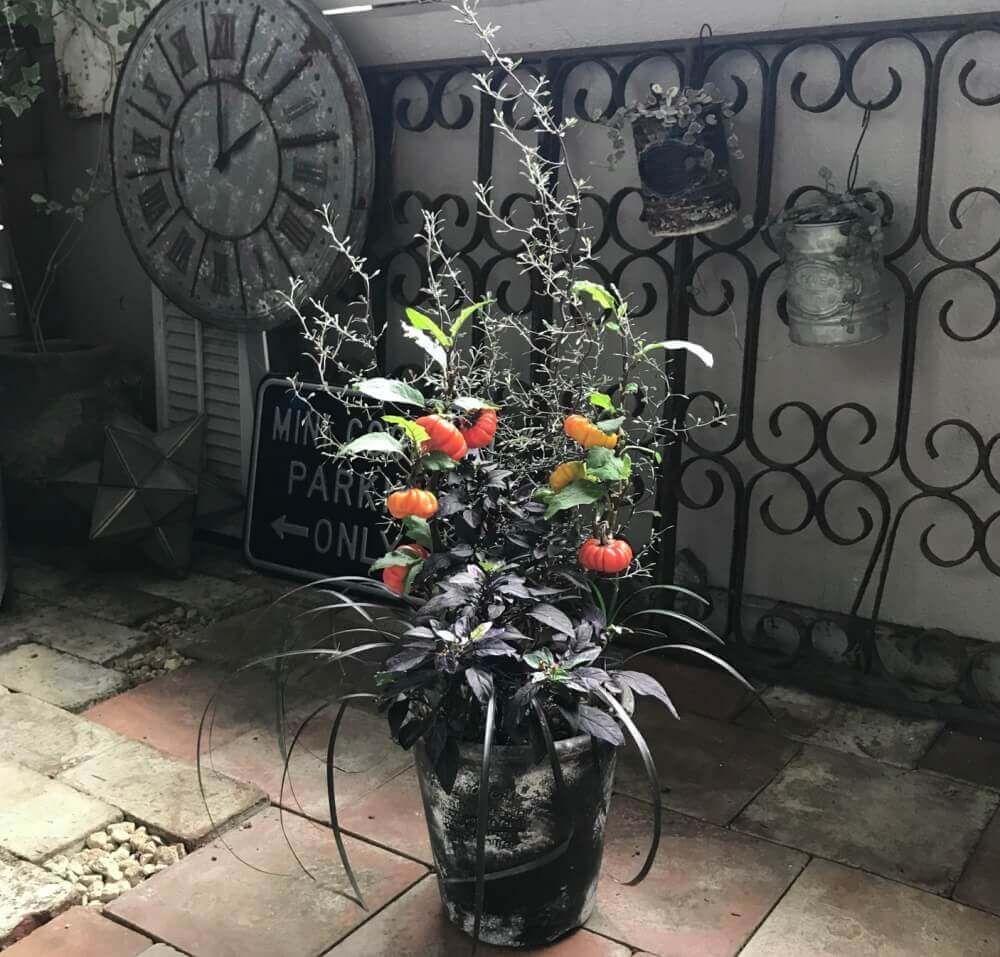 シックなフラワーアレンジメント