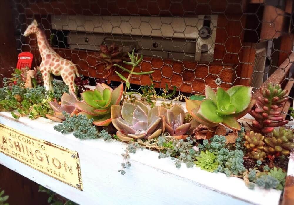 多肉植物　フィギュア　寄せ植えアレンジ