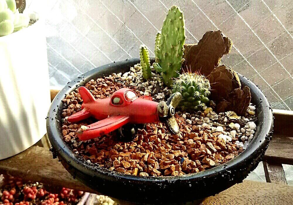 多肉植物　フィギュア　寄せ植えアレンジ