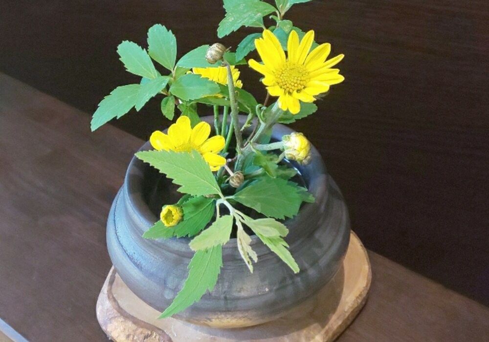 笠間焼き　植物