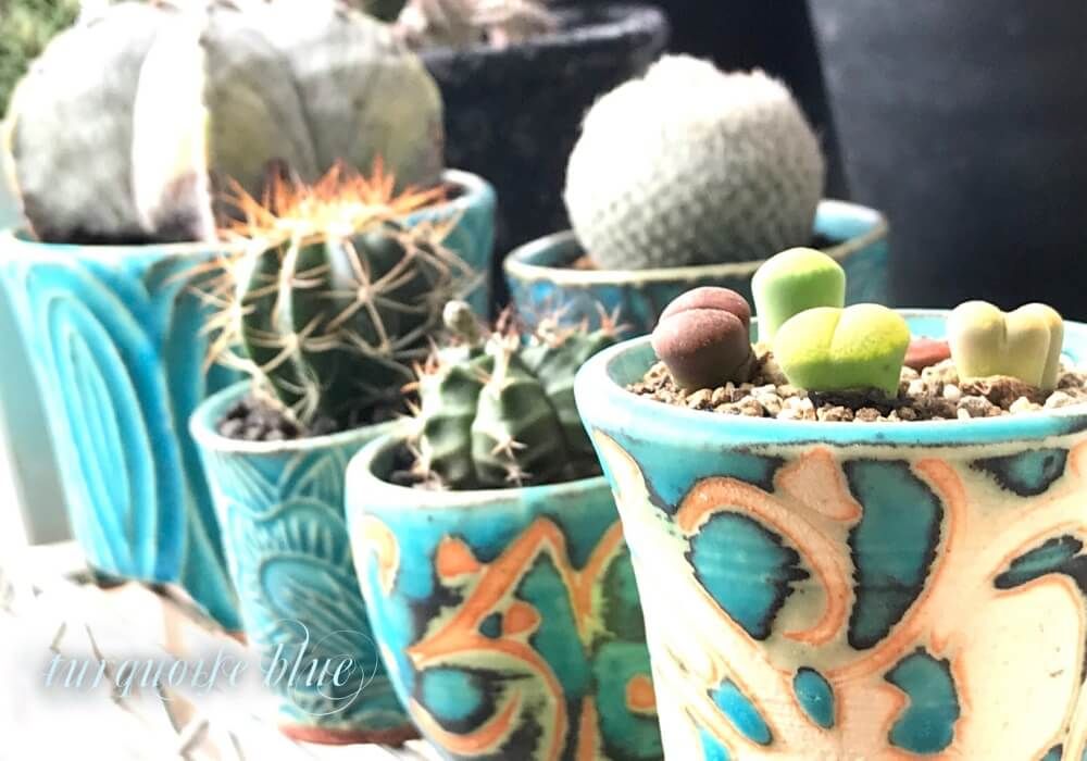 笠間焼き　植物