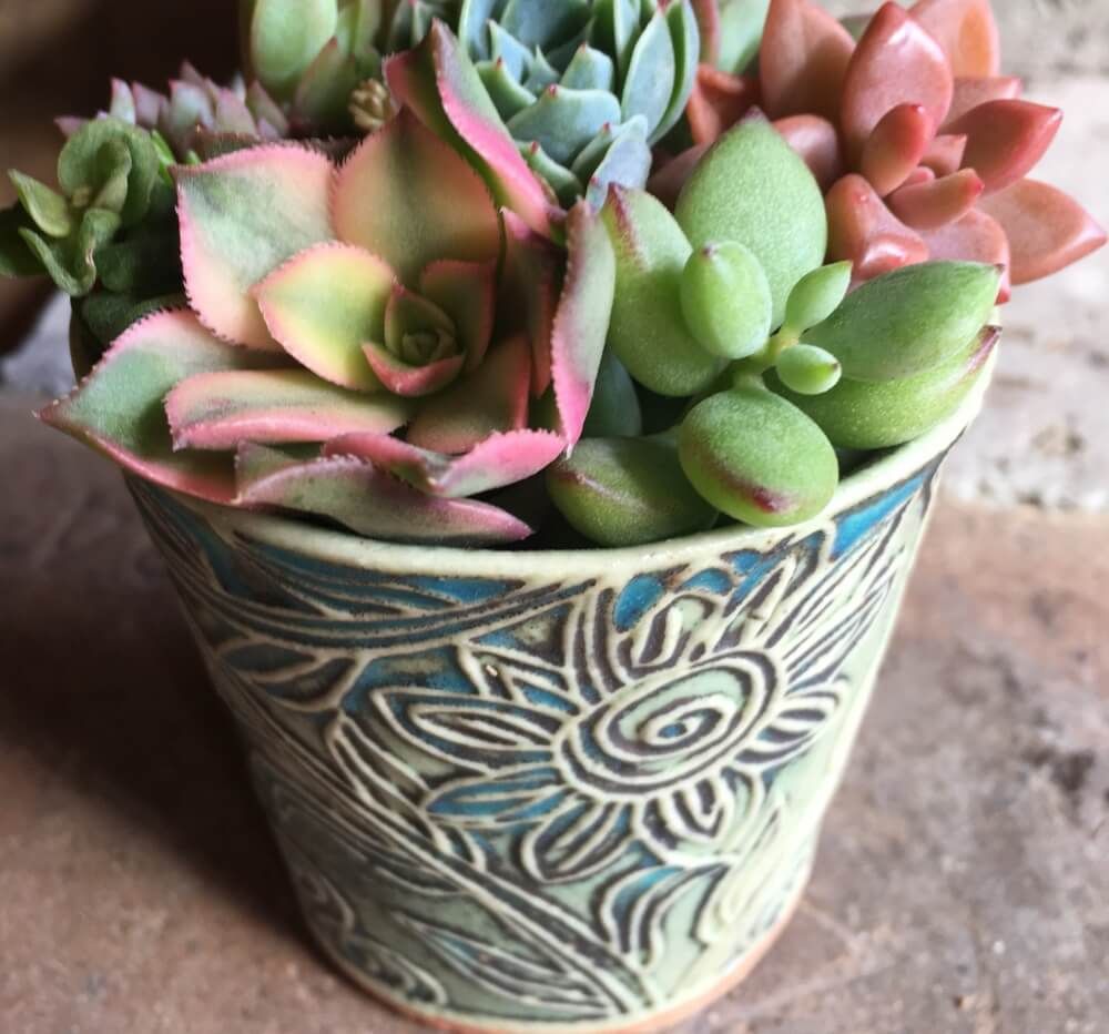 笠間焼き　植物