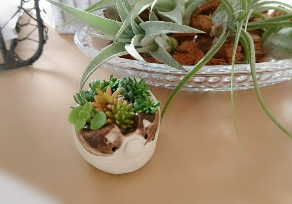 笠間焼き　植物