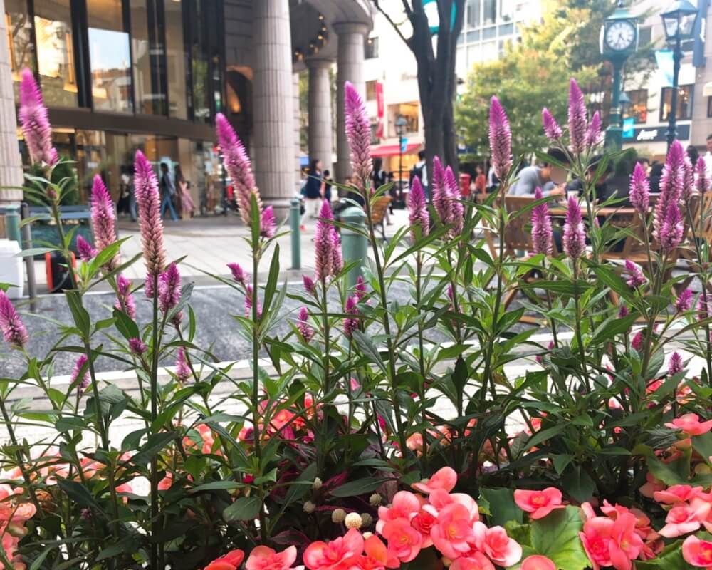 神戸・元町フォトコンテスト