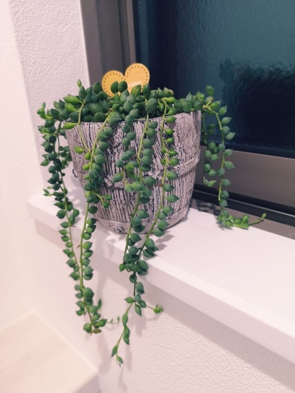 グリーンネックレス