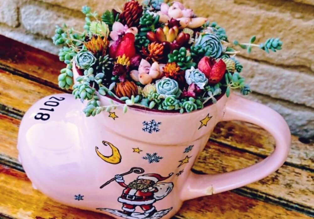 多肉植物　クリスマスアレンジ