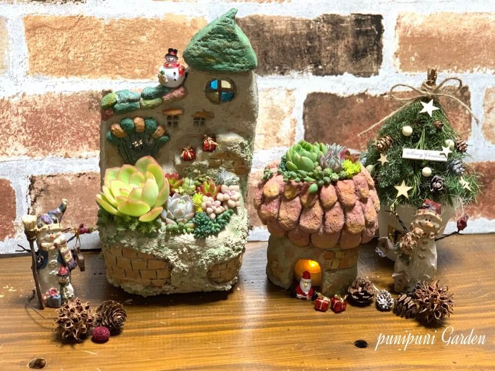 多肉植物　クリスマスアレンジ