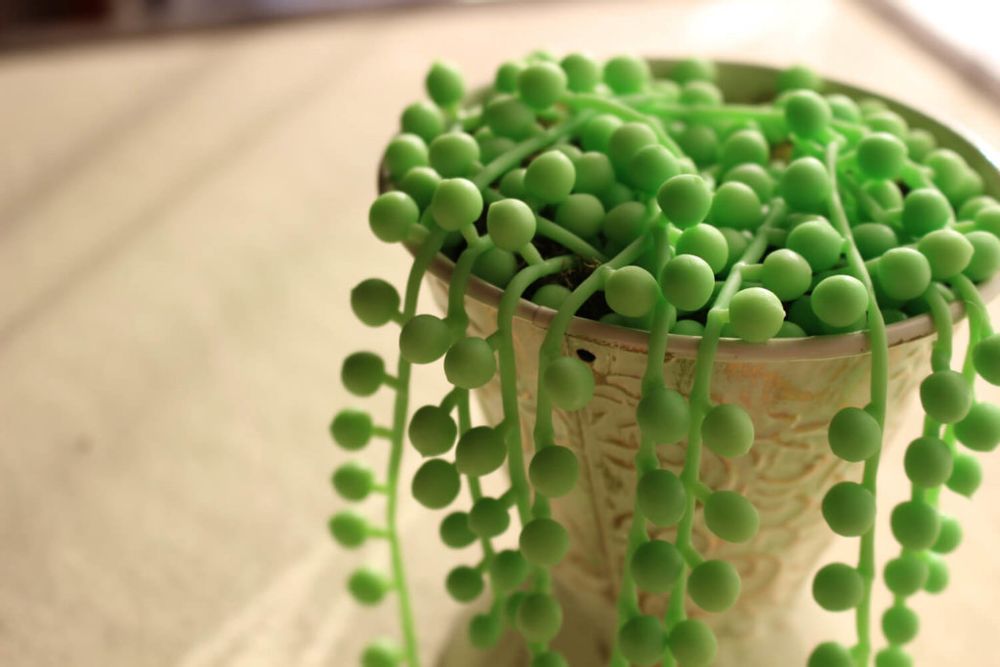 フェイクグリーン