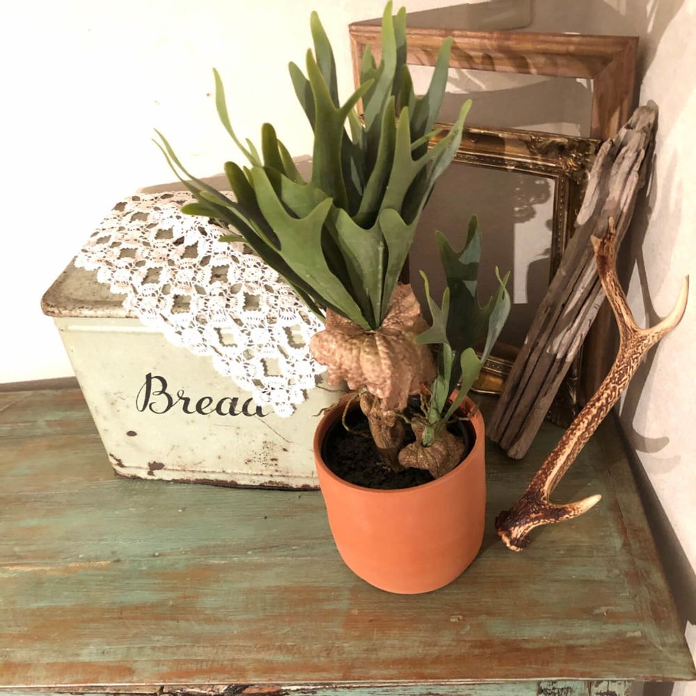 フェイクグリーン