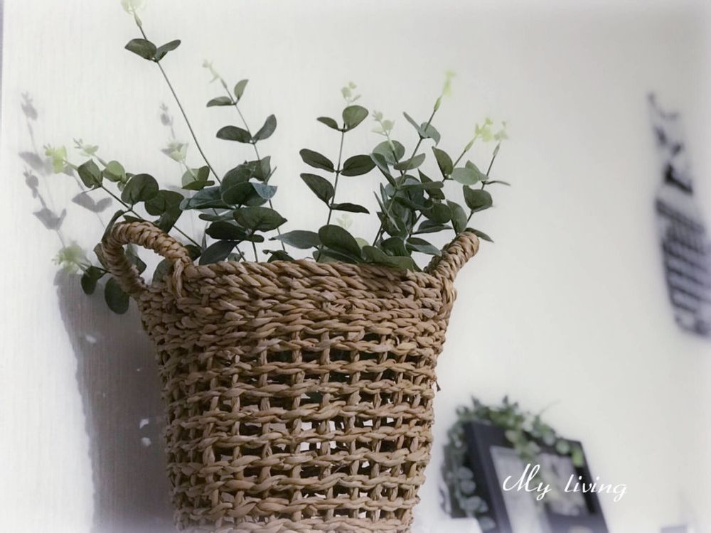 フェイクグリーン