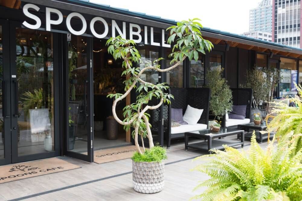 関西のボタニカルカフェ　SPOONBILL 天王寺