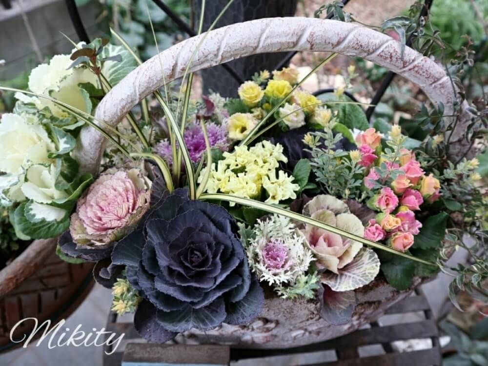 冬　バスケットの寄せ植え