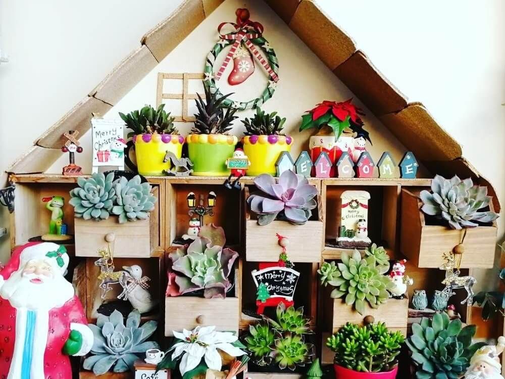 多肉マンション　作り方