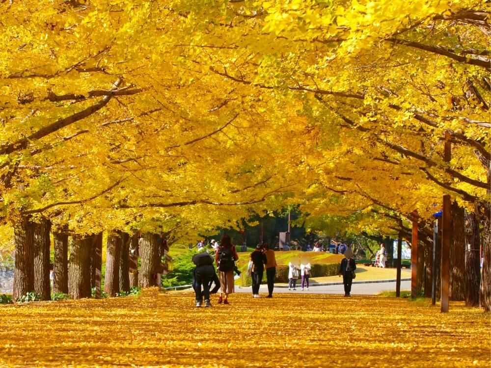 全国ボタニカルスポットフォトコン -2019秋-