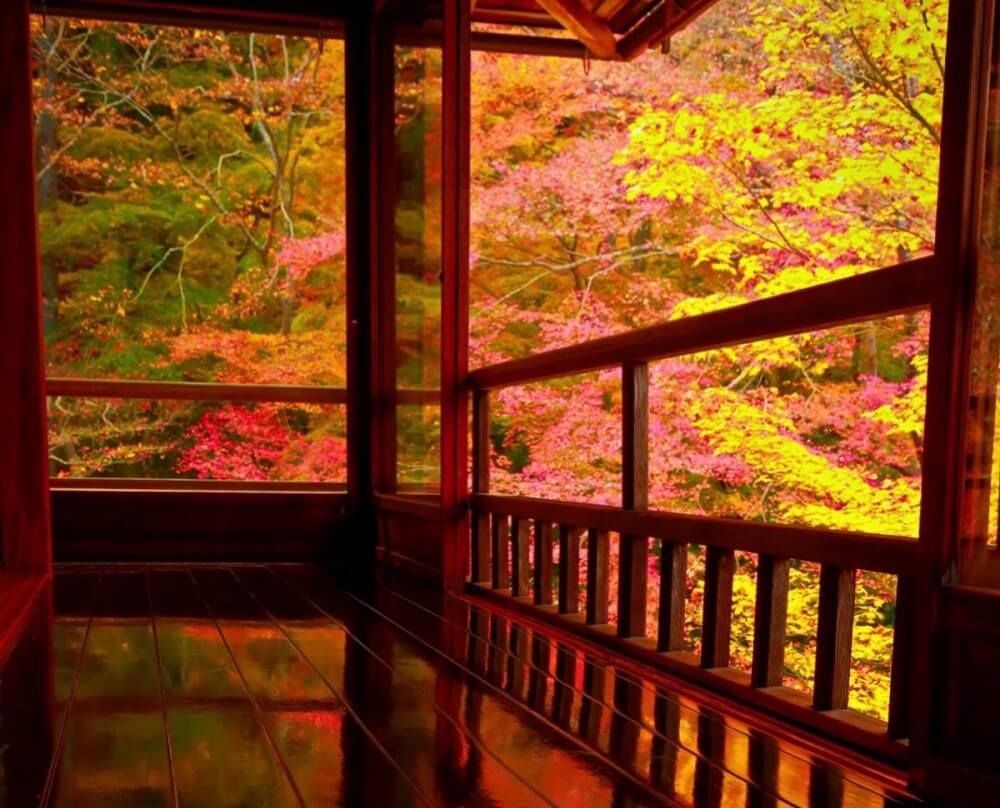 全国ボタニカルスポットフォトコン -2019秋-