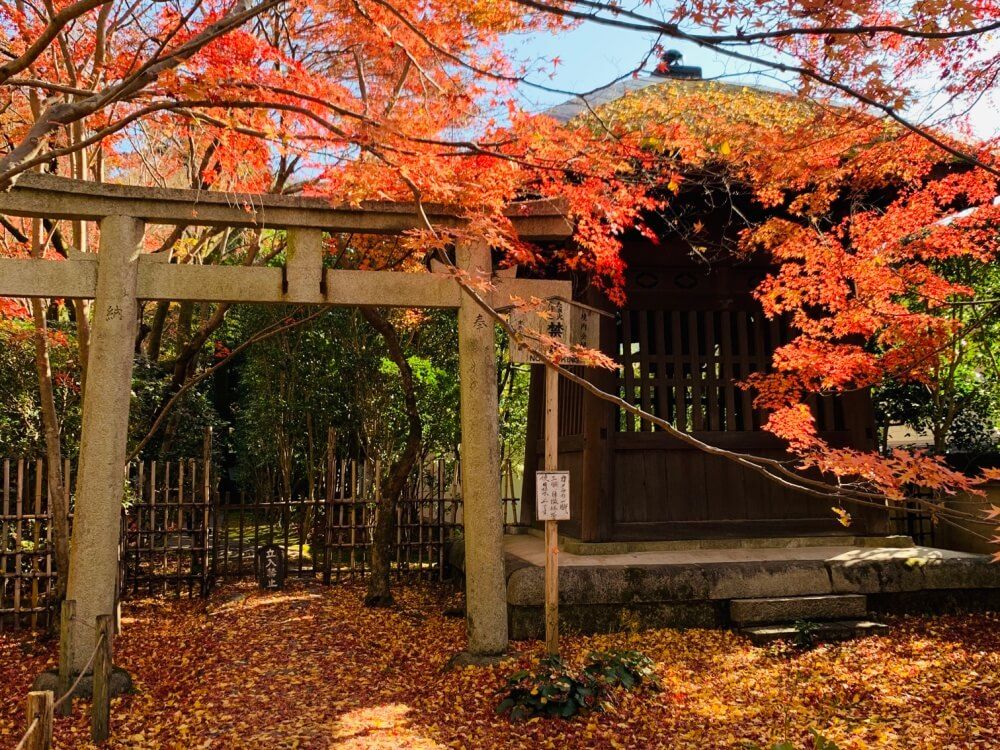 全国ボタニカルスポットフォトコン -2019秋-