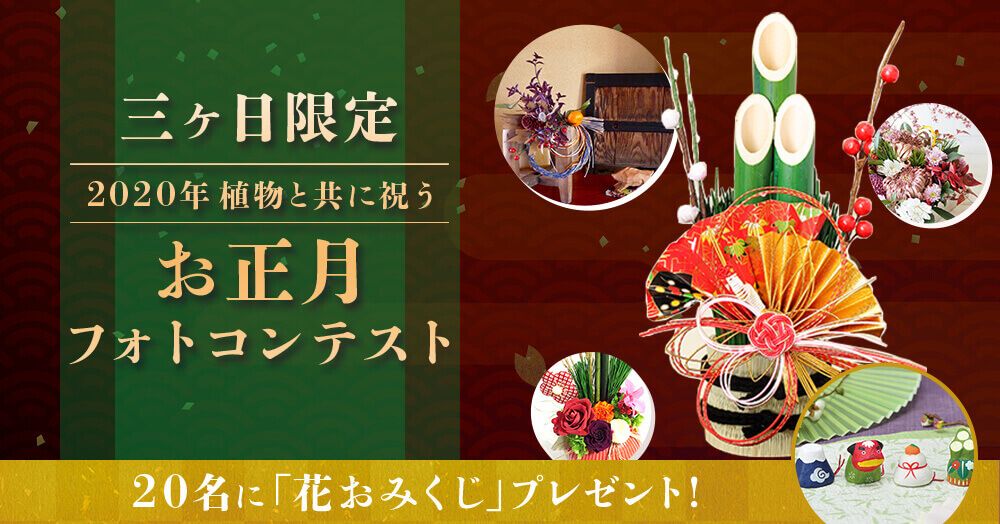 三が日フォトコン