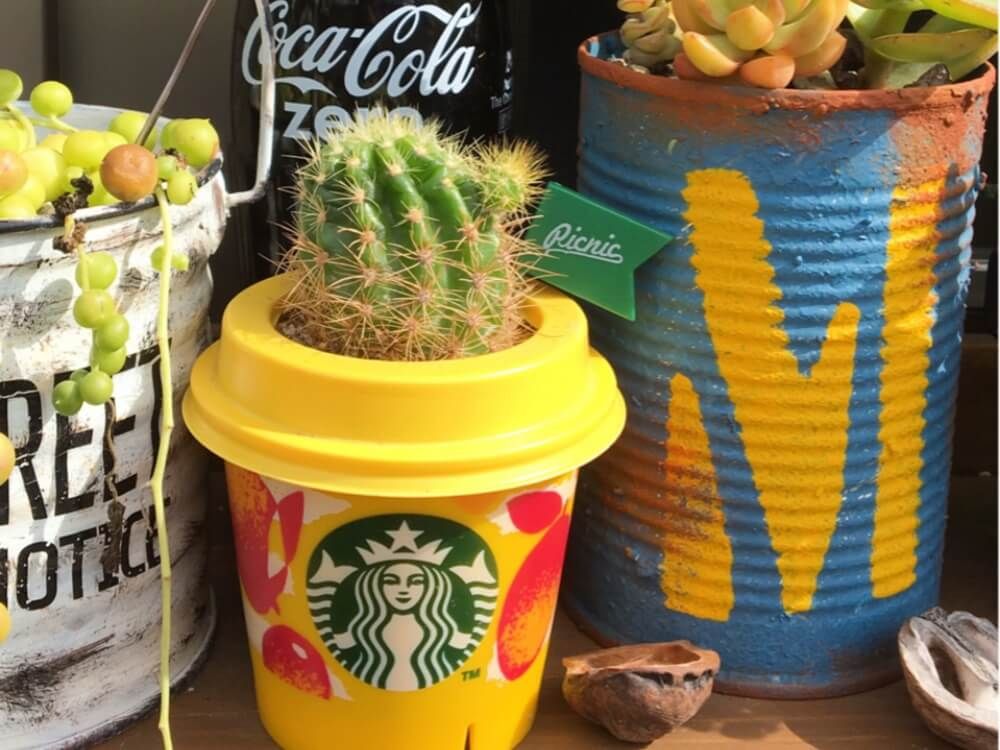スタバカップ　サボテン