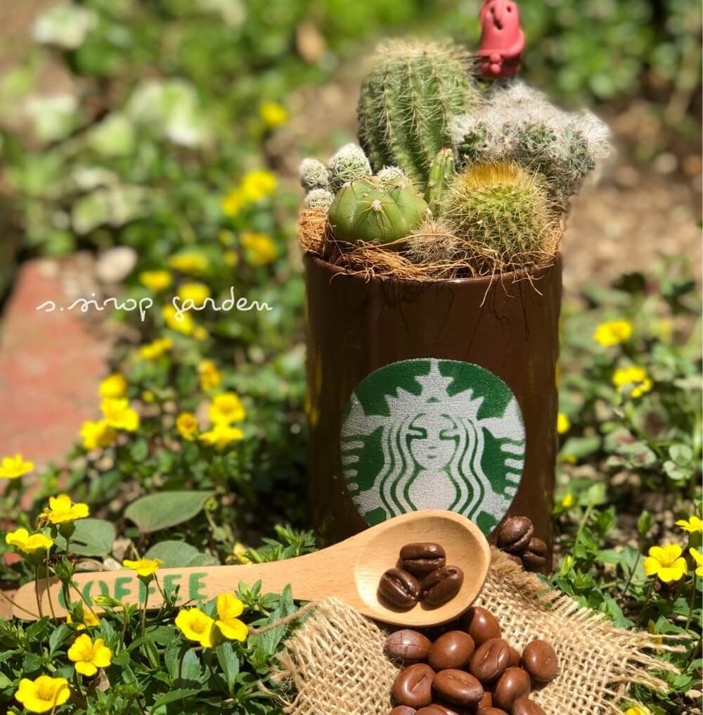 スタバ缶　サボテン