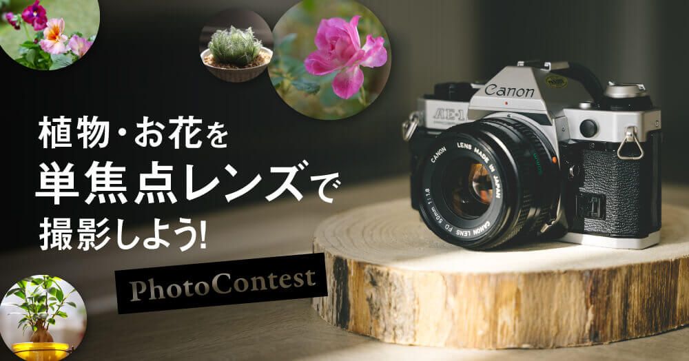 単焦点レンズ　フォトコン