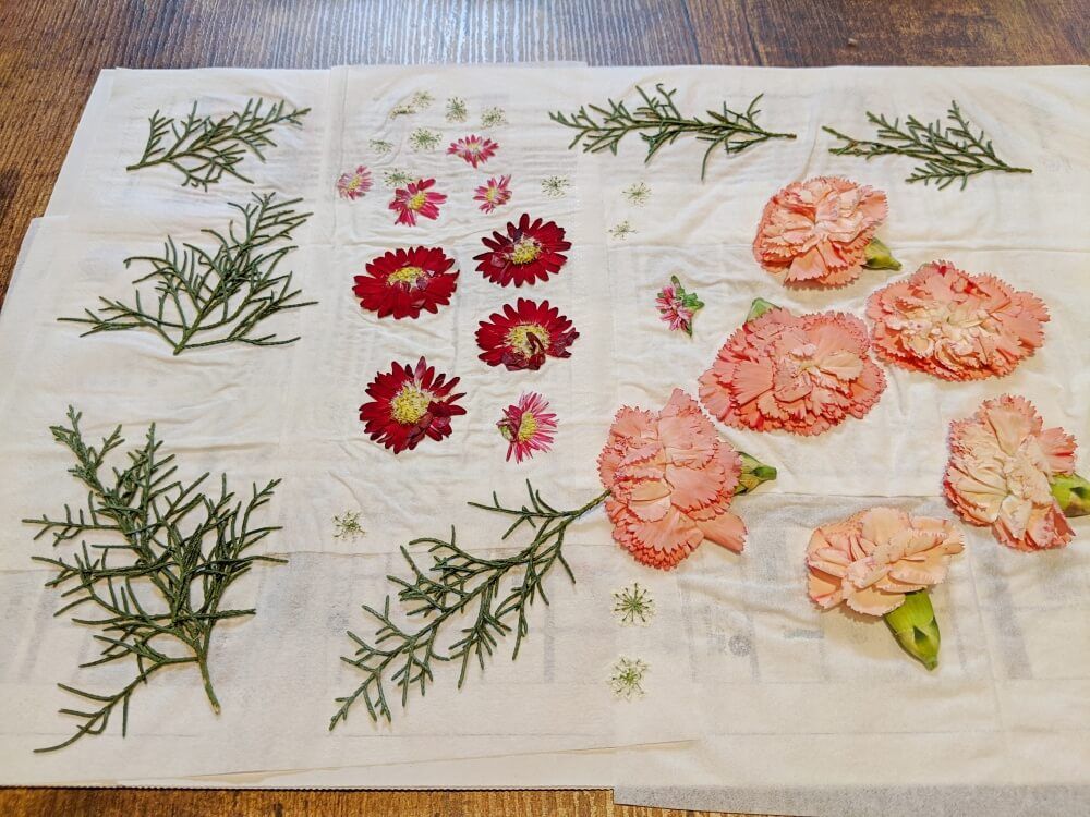 押し花の作り方