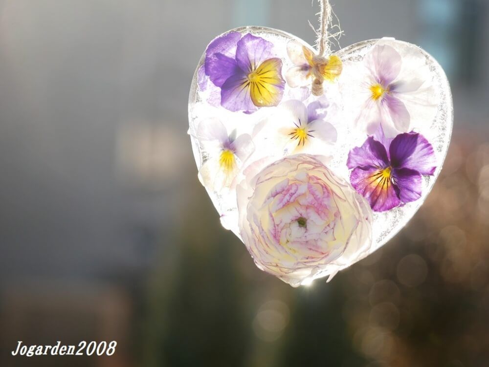 花と氷のアート