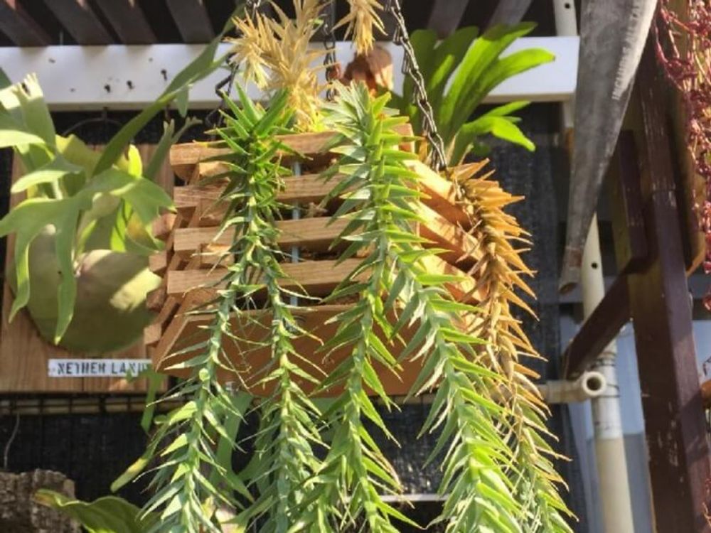 木製バスケットの作り方