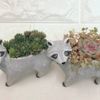 個性的なものから笑えるものまで！ かわいいアニマル鉢で植物を飾ろうの画像