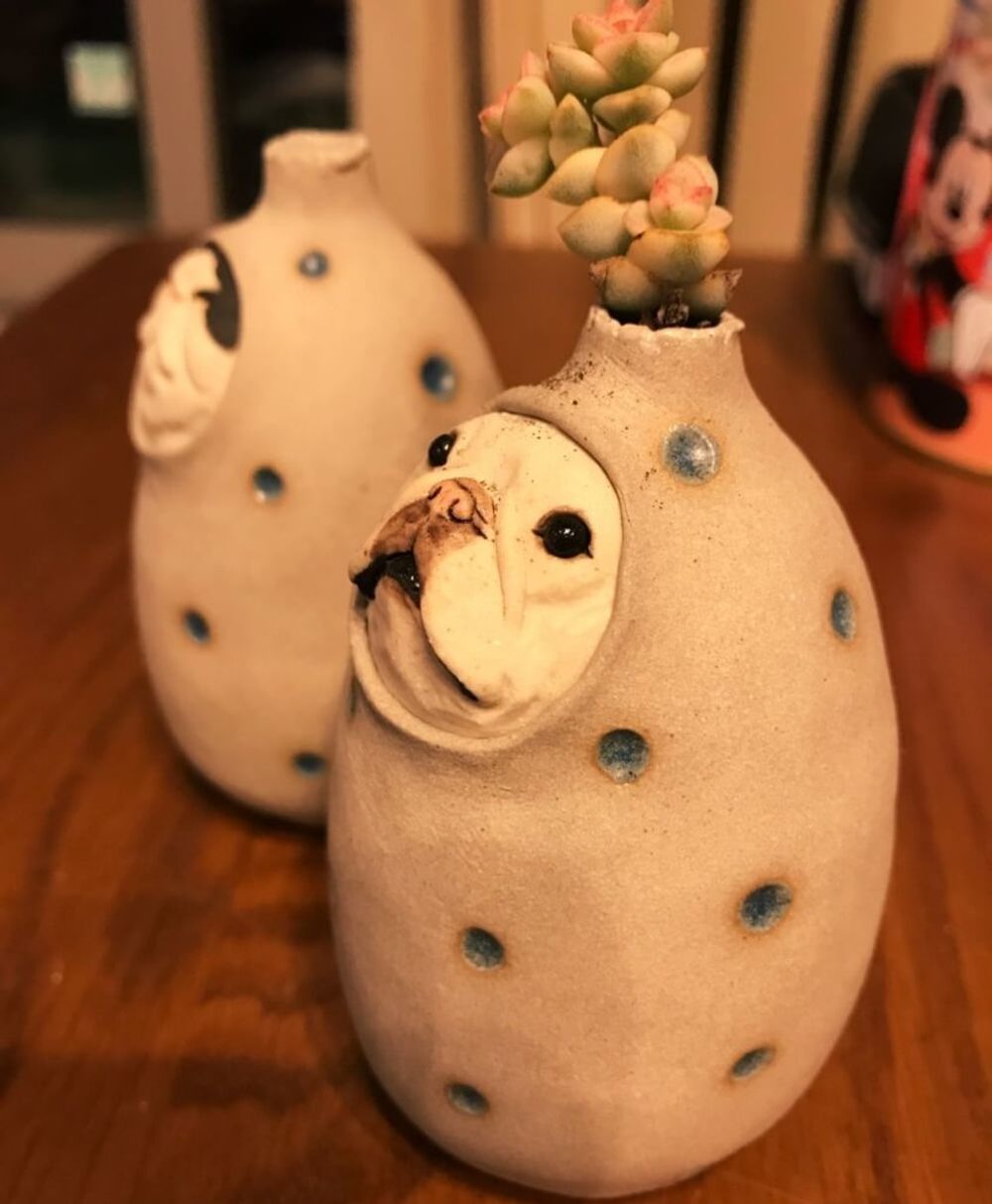 アニマル鉢　植物