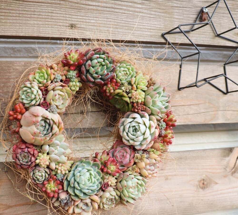 クリスマスリース　フォトコン