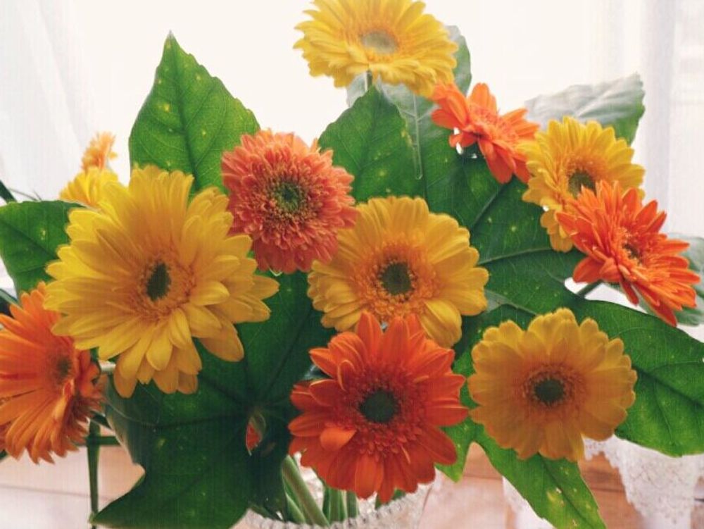 ガーベラ 花瓶　オレンジ色の花　黄色い花