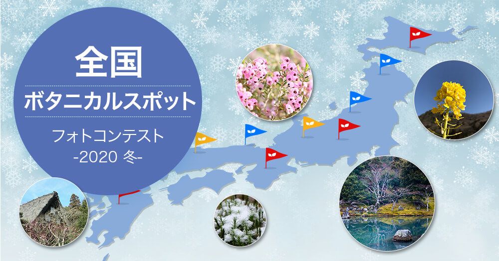 全国ボタニカルスポット フォトコンテスト-2020冬