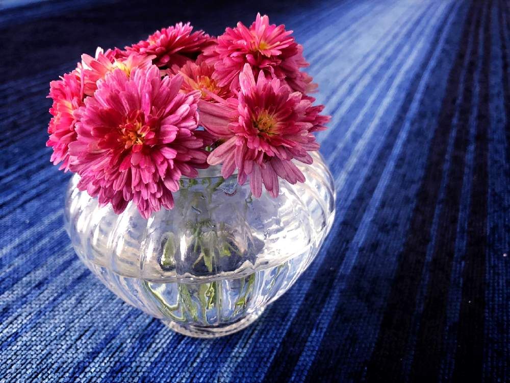 ファイアークラッカー