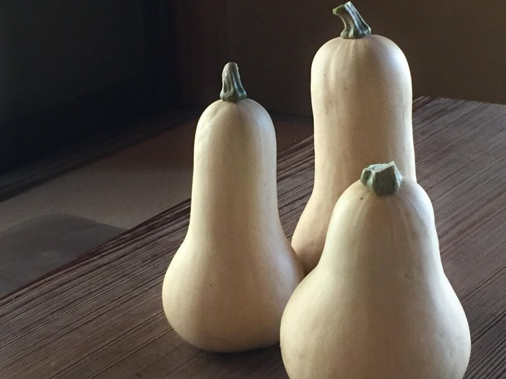 バターナッツかぼちゃ　野菜