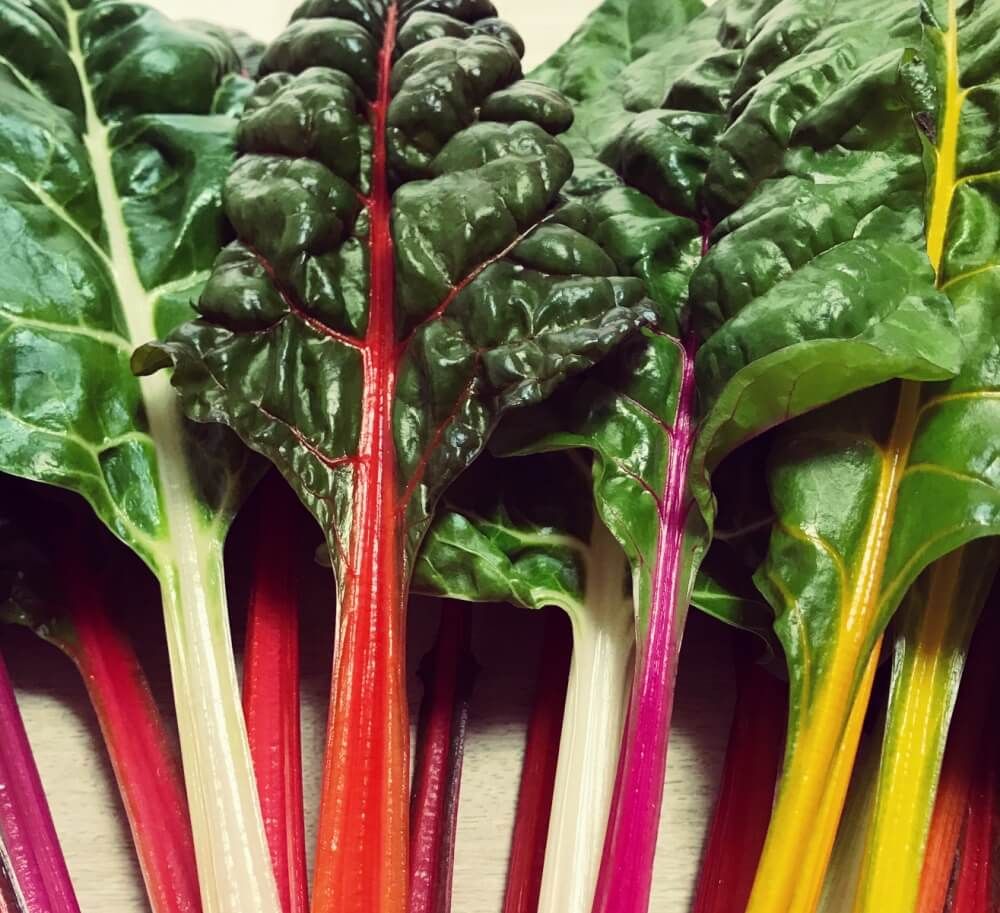 スイスチャード　野菜