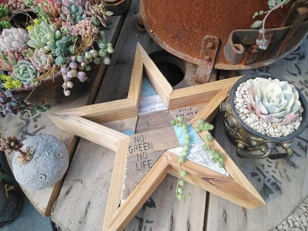 星型の多肉プランター　作り方