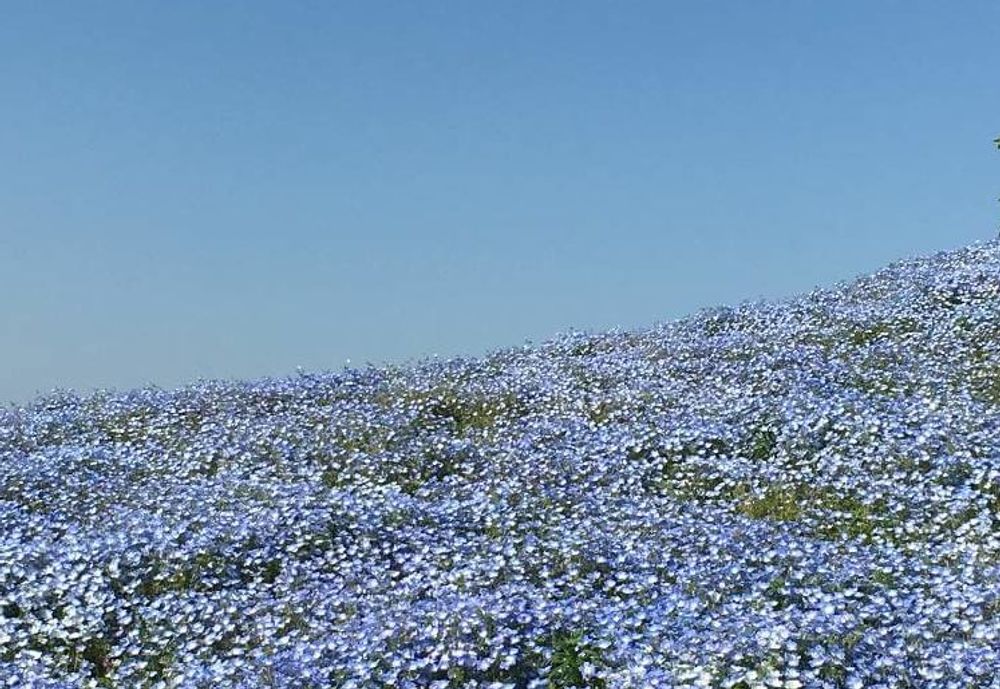 大阪まいしまシーサイドパーク