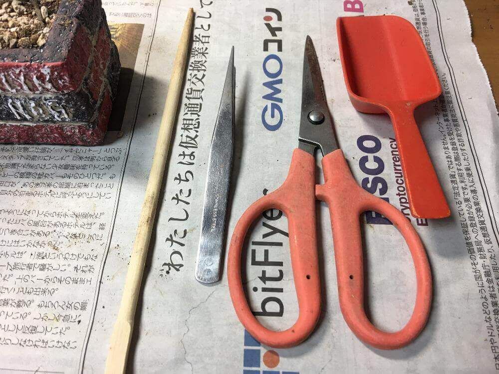 花壇風レンガの多肉植物寄せ植え