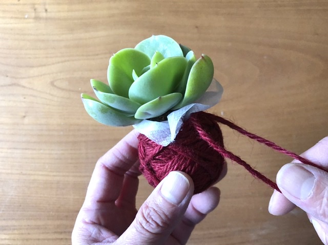 多肉植物の麻ひも玉のつくり方